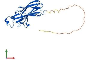 Protein Structure (PS) image for ASF1 Anti-Silencing Function 1 Homolog B (ASF1B) (AA 1-202) protein (His tag) (ABIN7552416)