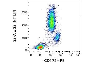 Flow cytometry analysis (surface staining) of human peripheral blood cells with anti-human CD172b (B4B6) PE. (CD172b / SIRP beta 抗体 (PE))
