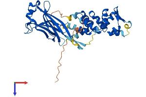 SPOPL Protein (AA 1-392) (His tag)