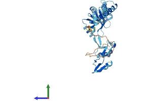 Protein Structure (PS) image for Ribosomal Protein, Large, P0 (RPLP0) (AA 1-317) protein (His tag) (ABIN7562879)