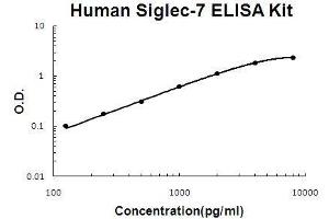 Human Siglec-7/CD328 PicoKine ELISA Kit standard curve (SIGLEC7 ELISA 试剂盒)