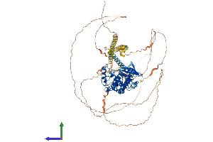 Protein Structure (PS) image for Myosin Light Chain Kinase 3 (MYLK3) (AA 1-819) protein (His tag) (ABIN7549613)