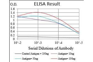 Black line: Control Antigen (100 ng), Purple line: Antigen(10 ng), Blue line: Antigen (50 ng), Red line: Antigen (100 ng), (SERPINA7 抗体  (AA 168-302))