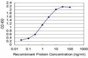 Detection limit for recombinant GST tagged T is approximately 0. (T Brachyury Protein (AA 222-320) 抗体)