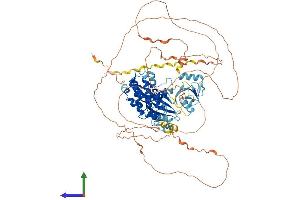 AlphaFold protein structure predicition of Mouse Recombinant Dclk3 Protein, UniprotID Q8BWQ5 (DCLK3 Protein (AA 1-790) (His tag))