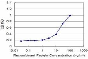 Detection limit for recombinant GST tagged STK24 is approximately 1ng/ml as a capture antibody. (STK24 抗体  (AA 1-431))