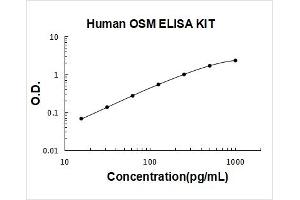 Oncostatin M (OSM) ELISA Kit