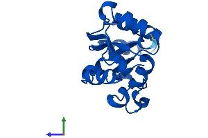 Protein Structure (PS) image for Nucleoside diphosphate kinase B (NME2) (AA 1-152) protein (His tag) (ABIN7549734)