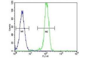 AKT2 antibody flow cytometric analysis of HeLa cells (right histogram) compared to a negative control (left histogram).