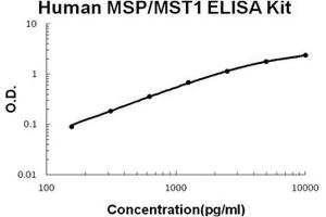 Human MSP/MST1 PicoKine ELISA Kit standard curve (MST1 ELISA 试剂盒)
