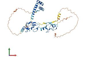 AlphaFold protein structure predicition of Mouse Recombinant Isl1 Protein, UniprotID P61372