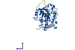 Protein Structure (PS) image for ST3 beta-Galactoside alpha-2,3-Sialyltransferase 4 (ST3GAL4) (AA 1-333) protein (His tag) (ABIN7560098)