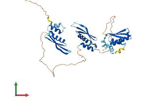 Protein Structure (PS) image for TAR (HIV-1) RNA Binding Protein 2 (TARBP2) (AA 1-365) protein (His tag) (ABIN7556816)