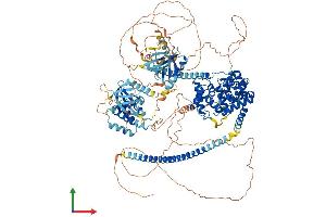 AlphaFold protein structure predicition of Mouse Recombinant Tbc1d1 Protein, UniprotID Q60949