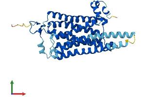 Protein Structure (PS) image for Trace Amine Associated Receptor 8 (TAAR8) (AA 1-342) protein (His tag) (ABIN7544155)