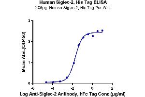 CD22 Molecule (CD22) (AA 20-687) protein (His tag)