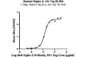 Immobilized Human Siglec-2, His Tag at 0. (CD22 Protein (AA 20-687) (His tag))