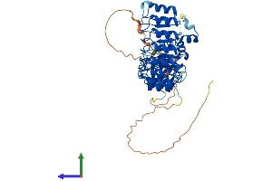 AlphaFold protein structure predicition of Human Recombinant FBXL7 Protein, UniprotID Q9UJT9