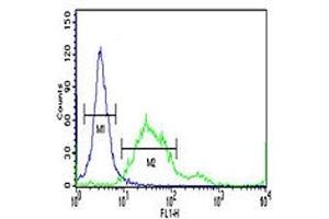 PROX1 antibody flow cytometric analysis of 293 cells (right histogram) compared to a negative control (left histogram). (PROX1 抗体  (AA 492-520))