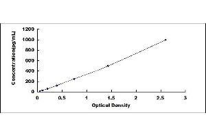 Typical standard curve (VEGFA ELISA 试剂盒)