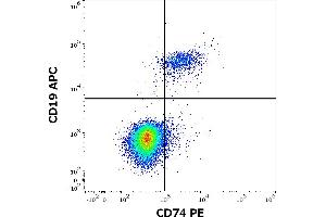 Flow cytometry multicolor surface staining of human lymphocytes stained using anti-human CD19 (4G7) APC antibody (10 μL reagent / 100 μL of peripheral whole blood) and anti-human CD74 (LN2) PE antibody (20 μL reagent / 100 μL of peripheral whole blood).