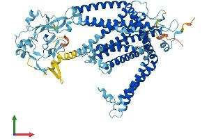 Protein Structure (PS) image for Solute Carrier Family 44, Member 2 (SLC44A2) (AA 1-706) protein (His tag) (ABIN7553602)