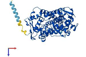 CYP2B6 Protein (AA 1-491) (His tag)