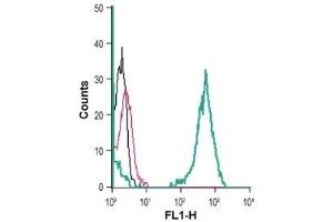 Flow Cytometry (FACS) image for anti-Potassium Inwardly-Rectifying Channel, Subfamily J, Member 2 (KCNJ2) (AA 112-125), (Extracellular) antibody (ABIN7043481)