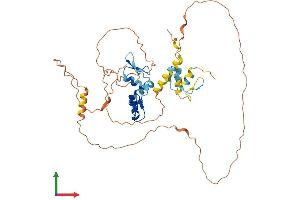AlphaFold protein structure predicition of Human Recombinant IKZF5 Protein, UniprotID Q9H5V7