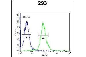RTKN2 Antibody (N-term) (ABIN652002 and ABIN2840491) flow cytometric analysis of 293 cells (right histogram) compared to a negative control cell (left histogram). (RTKN2 抗体  (N-Term))