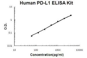 Human PD-L1/B7-H1 PicoKine ELISA Kit standard curve (PD-L1 ELISA 试剂盒)