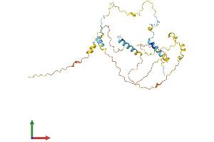 Protein Structure (PS) image for Forty-Two-Three Domain Containing 1 (FYTTD1) (AA 1-318) protein (His tag) (ABIN7544928)