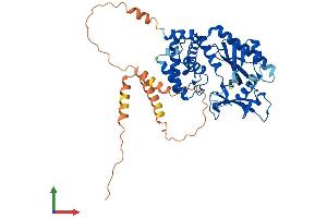 Protein Structure (PS) image for Smith-Magenis Syndrome Chromosome Region, Candidate 7-Like (SMCR7L) (AA 1-463) protein (His tag) (ABIN7564345)