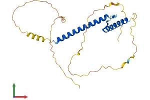 AlphaFold protein structure predicition of Mouse Recombinant Neurog1 Protein, UniprotID P70660