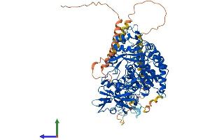 Protein Structure (PS) image for Mannosyl (Alpha-1,6-)-Glycoprotein beta-1,6-N-Acetyl-Glucosaminyltransferase, Isozyme B (MGAT5B) (AA 1-792) protein (His tag) (ABIN7564179)