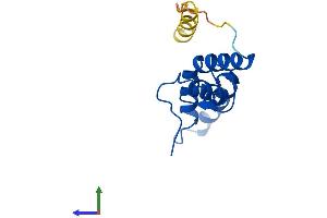 Protein Structure (PS) image for Ribosomal Protein S14 (RPS14) (AA 1-128) protein (His tag) (ABIN7551582)