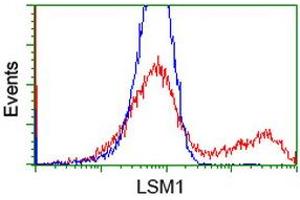 HEK293T cells transfected with either RC200288 overexpress plasmid (Red) or empty vector control plasmid (Blue) were immunostained by anti-LSM1 antibody (ABIN2454726), and then analyzed by flow cytometry. (LSM1 抗体  (AA 1-133))