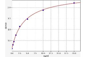 Typical standard curve (C1ORF106 ELISA 试剂盒)