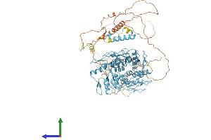 Protein Structure (PS) image for Zinc Finger Protein 226 (ZNF226) (AA 1-803) protein (His tag) (ABIN7545791)