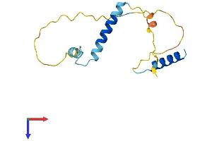 RGC32 Protein (AA 1-137) (His tag)