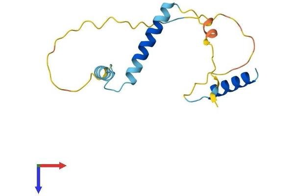 RGC32 Protein (AA 1-137) (His tag)