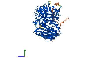 Protein Structure (PS) image for Apoptosis-Inducing Factor, Mitochondrion-Associated, 3 (AIFM3) (AA 1-605) protein (His tag) (ABIN7557103)