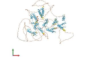 AlphaFold protein structure predicition of Human Recombinant ZNF445 Protein, UniprotID P59923 (ZNF445 Protein (AA 1-1031) (His tag))