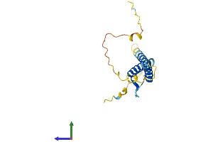 Protein Structure (PS) image for Atonal Homolog 7 (ATOH7) (AA 1-152) protein (His tag) (ABIN7552467)