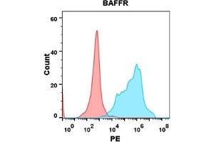 Flow cytometry analysis with Anti-BAFFR (DM143) on Expi293 cells transfected with human BAFFR (Blue histogram) or Expi293 transfected with irrelevant protein (Red histogram).