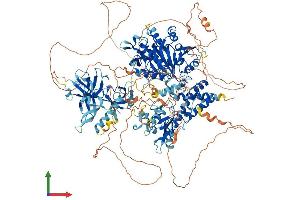 AlphaFold protein structure predicition of Human Recombinant KDM3A Protein, UniprotID Q9Y4C1