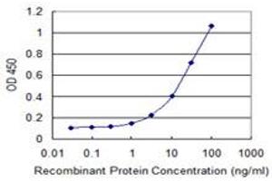 Detection limit for recombinant GST tagged CECR1 is 0. (CECR1 抗体  (AA 402-511))