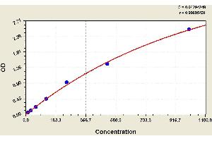 ELISA image for Calcitonin-Related Polypeptide alpha (CALCA) ELISA Kit (ABIN1113889) (CGRP ELISA 试剂盒)