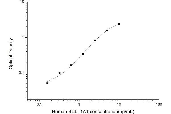 SULT1A1 ELISA 试剂盒