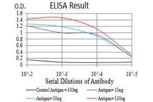 Black line: Control Antigen (100 ng),Purple line: Antigen (10 ng), Blue line: Antigen (50 ng), Red line:Antigen (100 ng) (CFHR5 抗体  (AA 344-569))